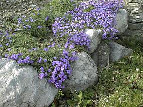 PIC00001