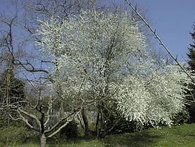 PIC00018