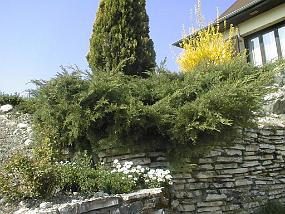 PIC00022