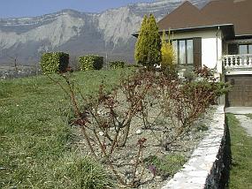 PIC00023