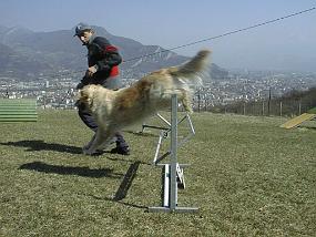 PIC00008
