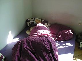 PIC00026
