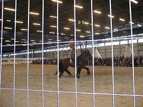 pic00003