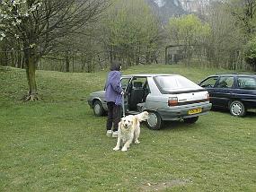 pic00013