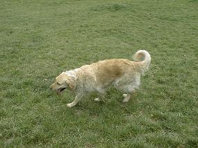 pic00021