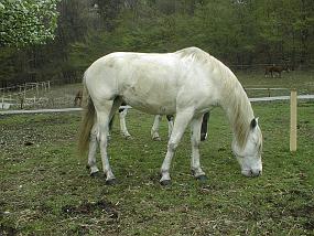 pic00046