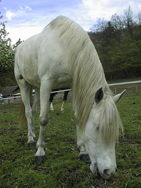 pic00049