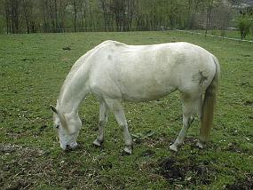 pic00055