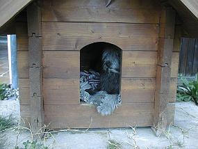 pic00018
