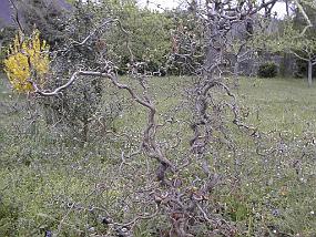 pic00039