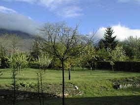PIC00018