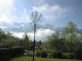 PIC00106