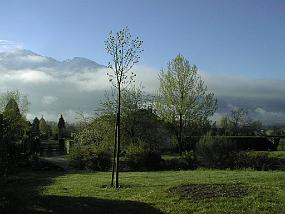 pic00004