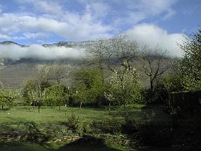 pic00005