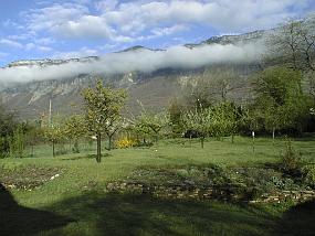 pic00007