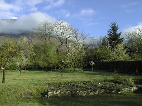 pic00008