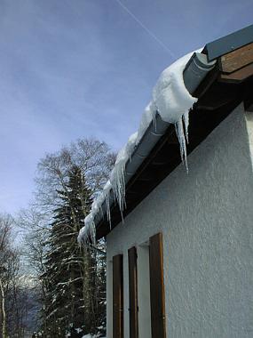 PIC00010