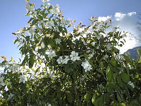 PIC00025
