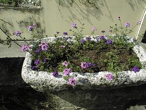 pic00003
