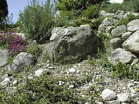 pic00006