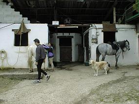 pic00011