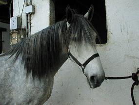 pic00020