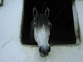 pic00037