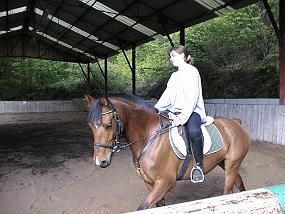 pic00040