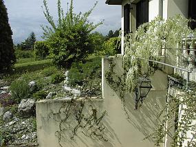pic00007