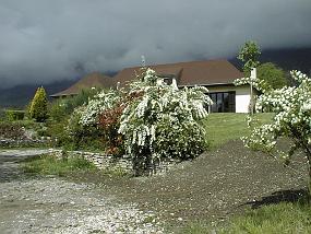 pic00010