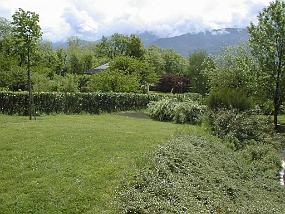 pic00025