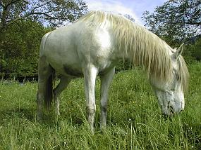 Pic00105