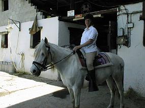pic00018