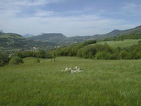 pic00032