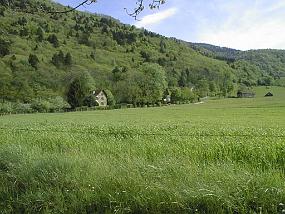 pic00034
