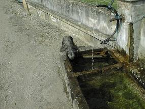 pic00035