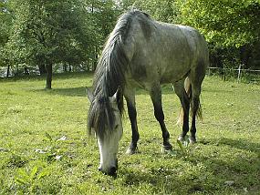 pic00045