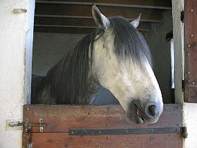 pic00004