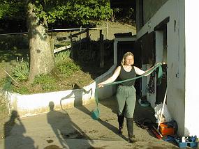 pic00009