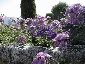 pic00007