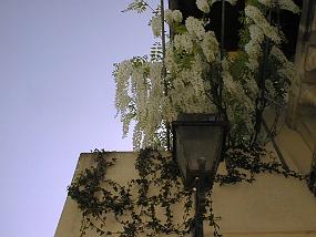 pic00008