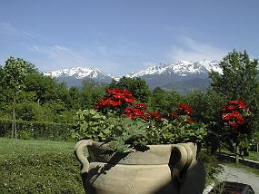 pic00013