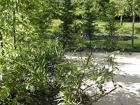 pic00031