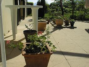pic00035