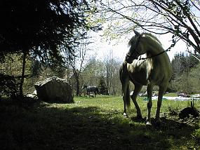 pic00010