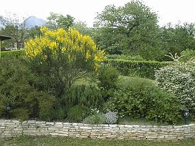 pic00017