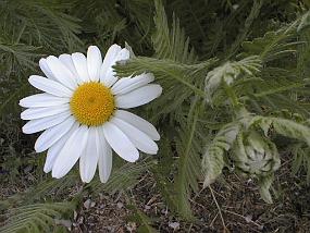 pic00026