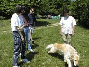 pic00003