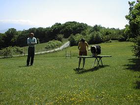 pic00006