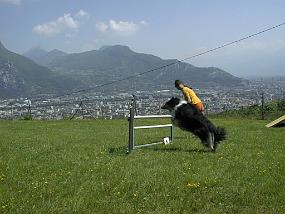 pic00007